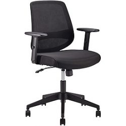 Amazon Basics Ergonomischer Bürostuhl, Armlehnen, Lendenwirbelstütze Amazon Basics Ergonomischer Bürostuhl, Armlehnen, Lendenwirbelstütze